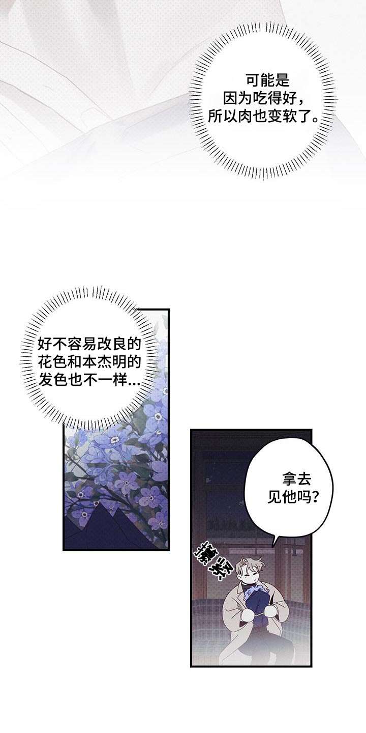 三十五号宅院到鸽子窝怎么走漫画,第41话2图