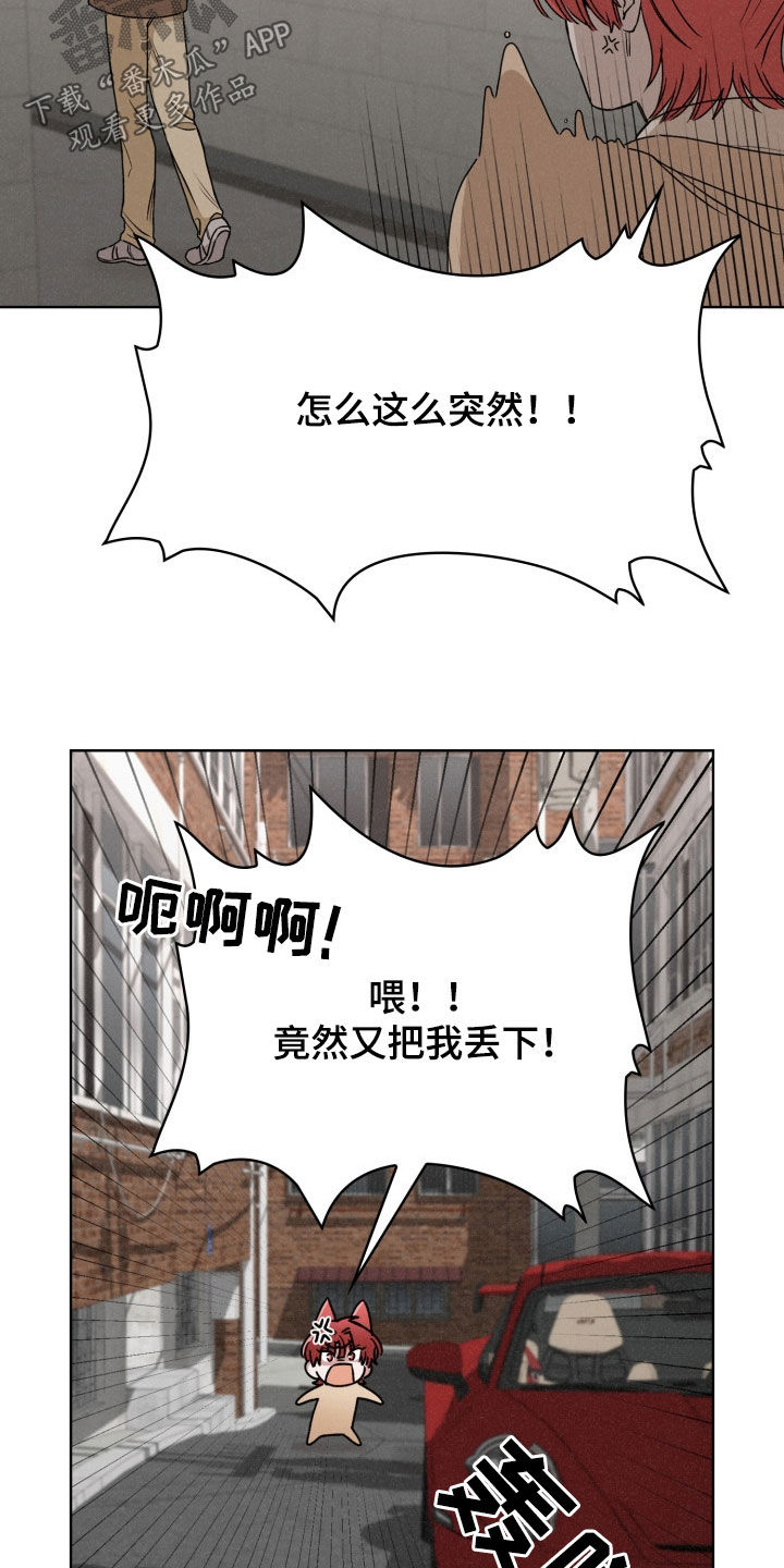 猎狐行动是什么意思漫画,第36话1图