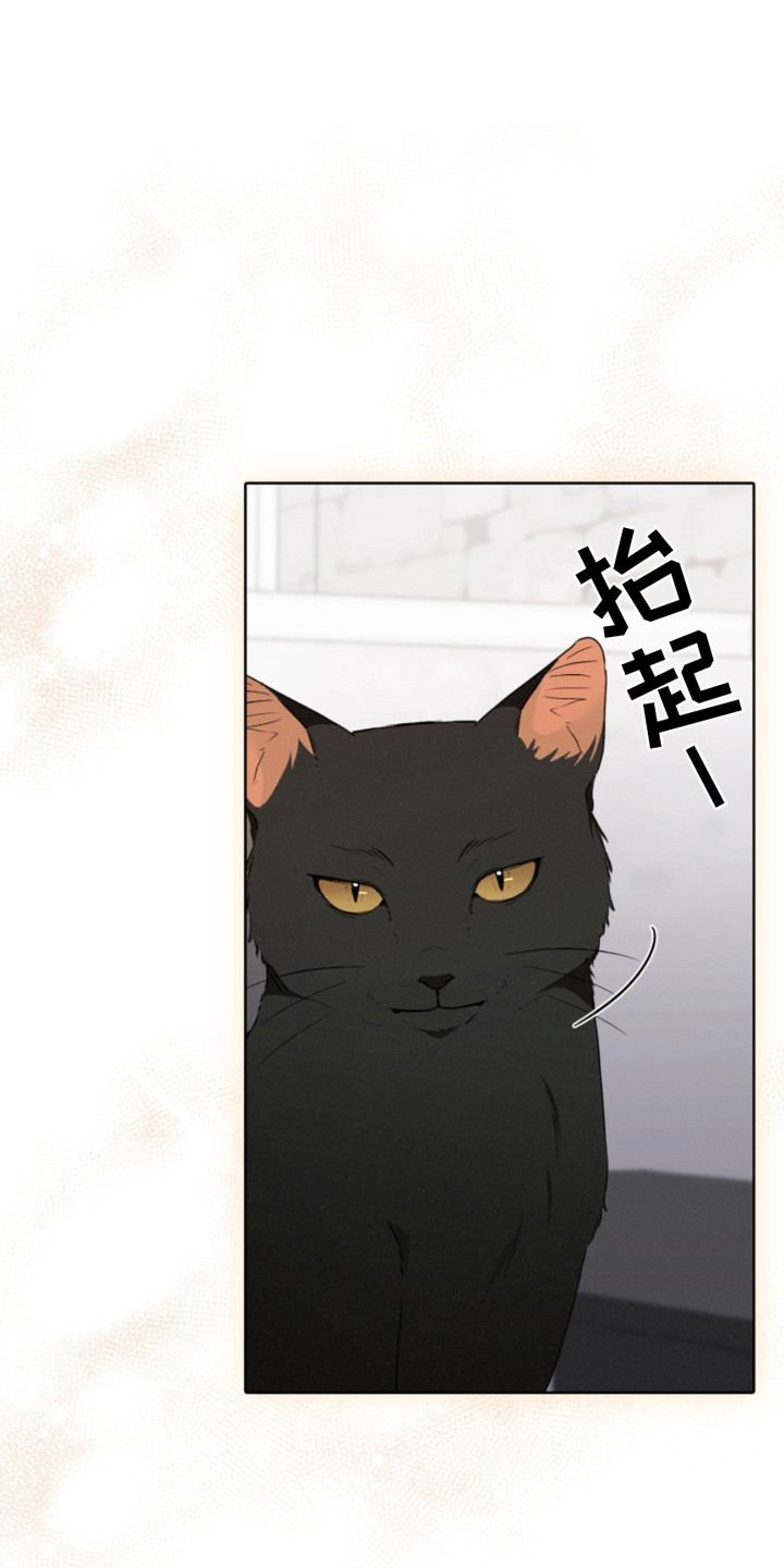 猎狐行动是什么意思漫画,第21话1图