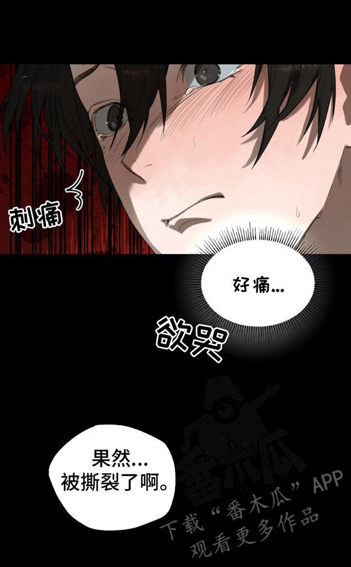 天帝归来免费观看全集漫画,第10话2图