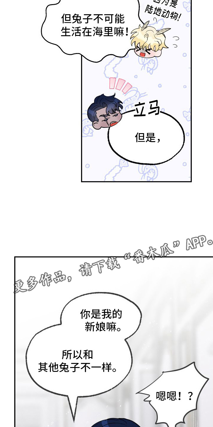 海兔新娘角色分析漫画,第4章：雌雄同体2图