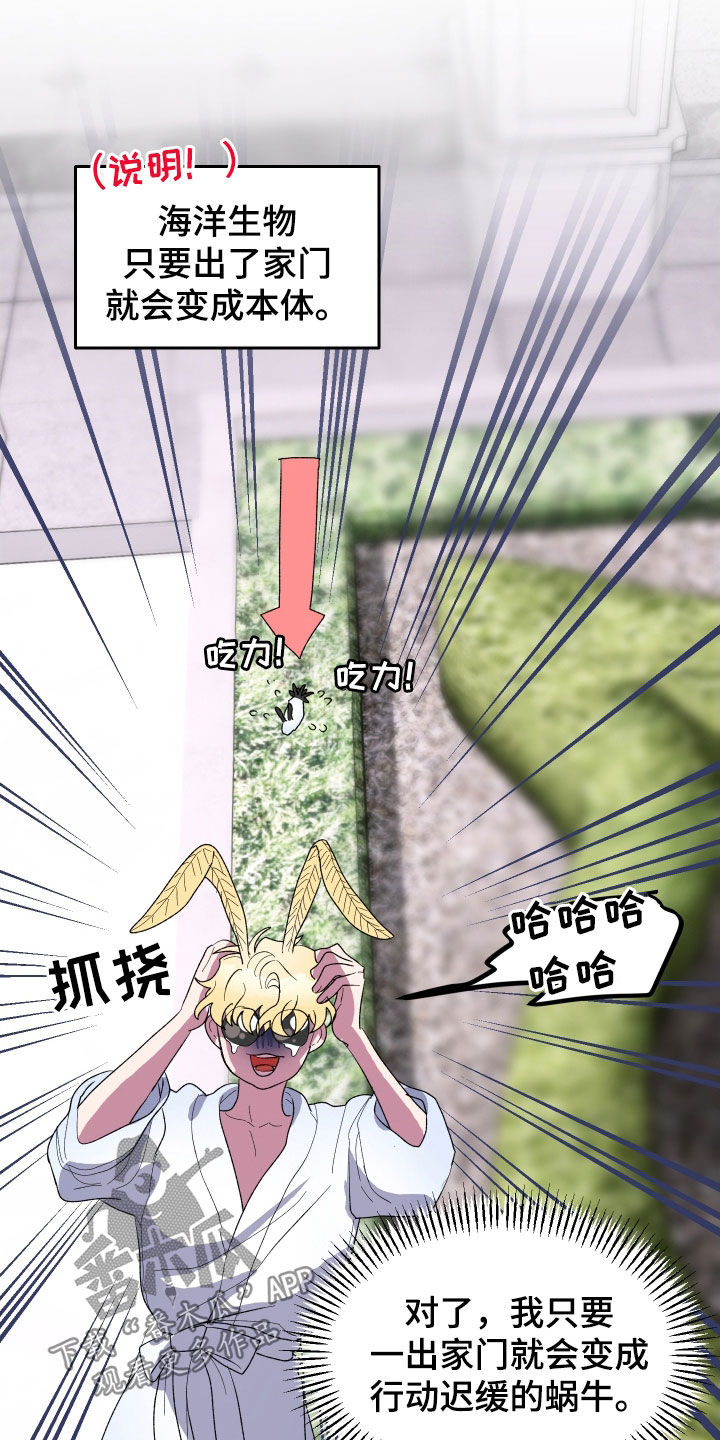 海兔新娘漫画下拉式漫画,第25话2图