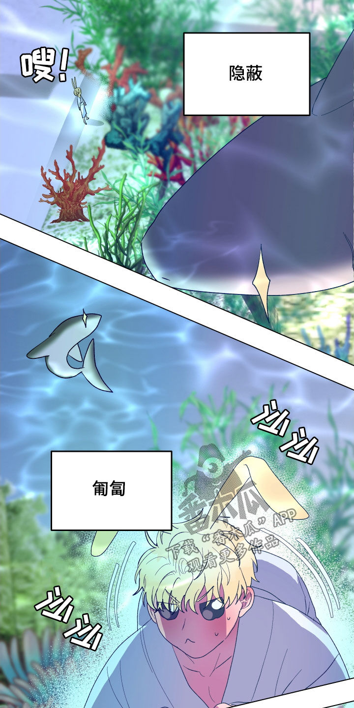 海兔新娘漫画,第25话1图