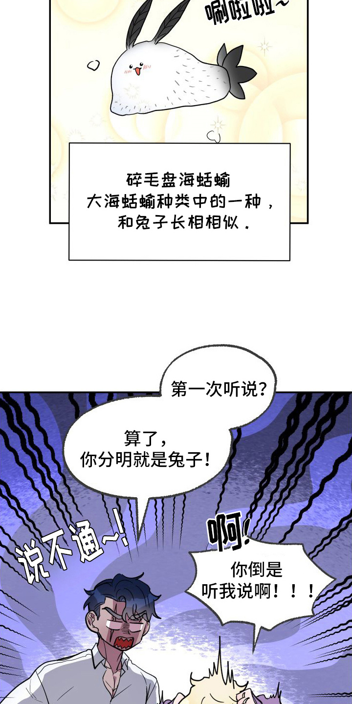 海兔新娘漫画下拉式漫画,第4话2图