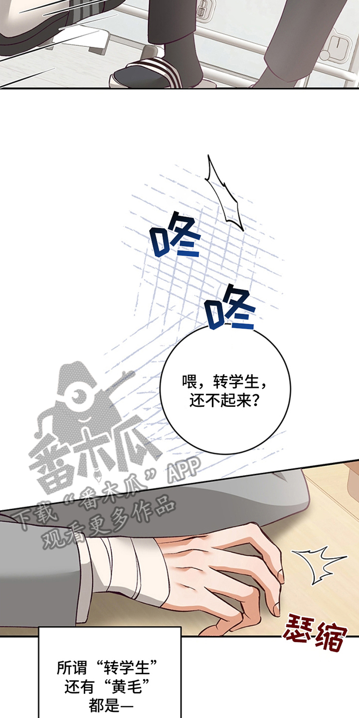 蒲公英观察日漫画,第1话2图