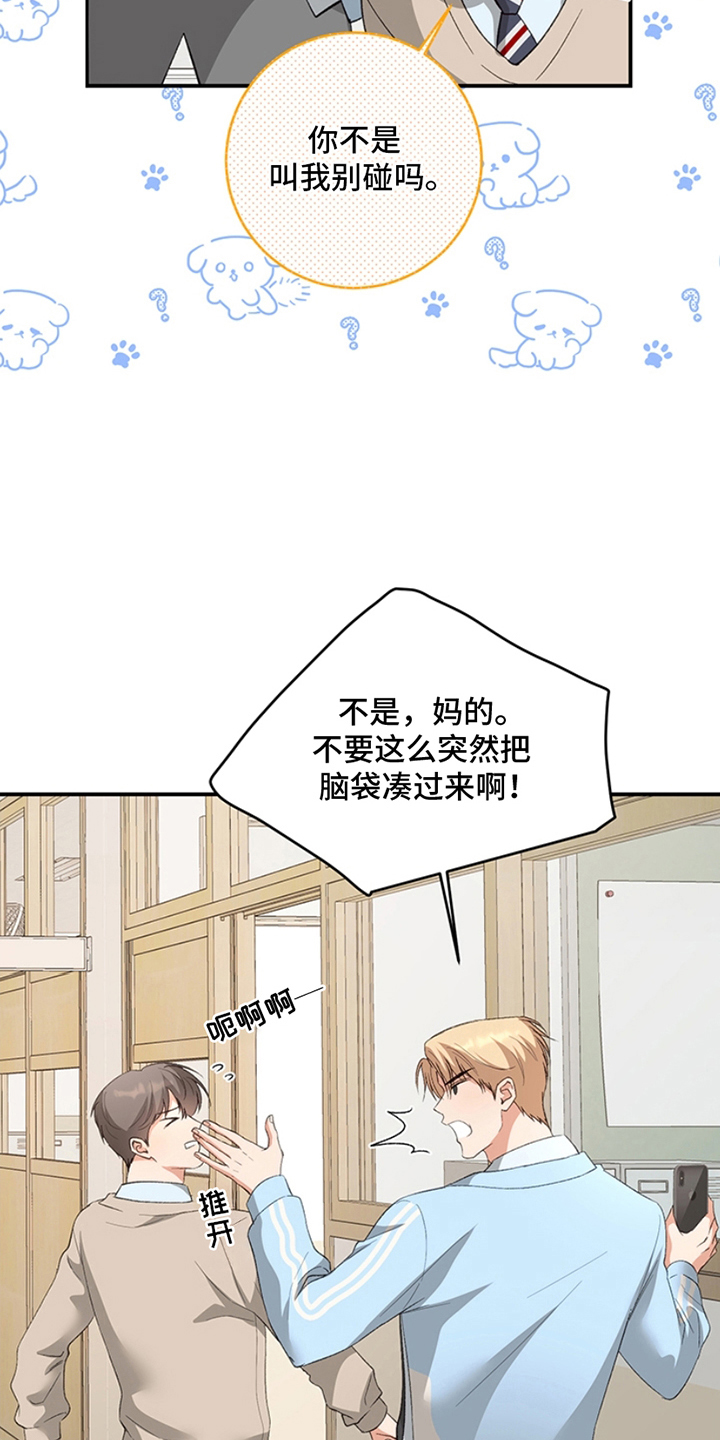 蒲公英观察日漫画,第12话1图