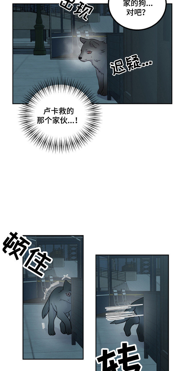 森林狼的诅咒漫画在线观看漫画,第19话2图