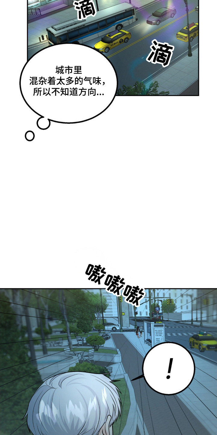 森林狼的诅咒漫画,第17话2图