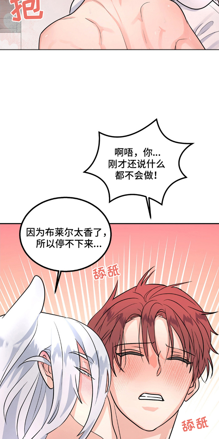 森林狼的场地在哪个城市漫画,第12话1图