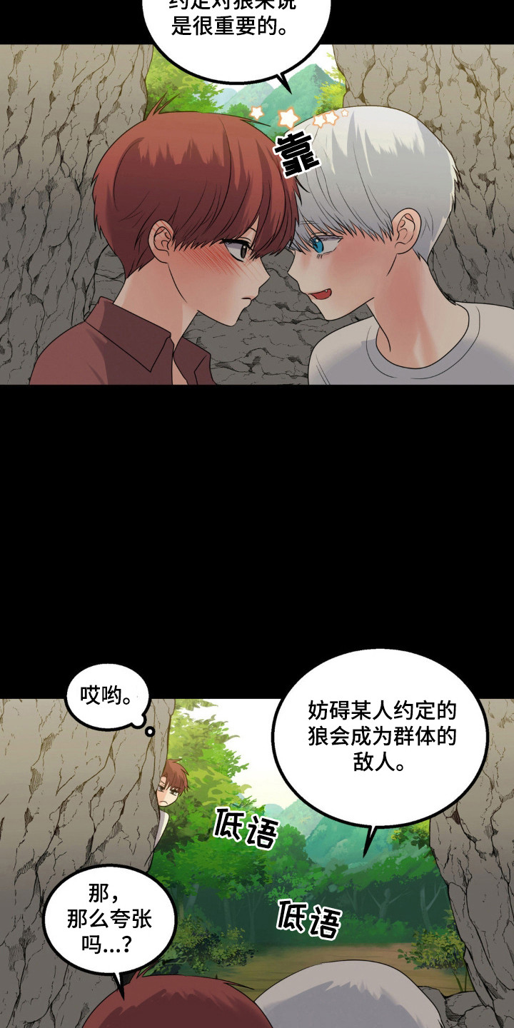 森林狼的防守怎么样漫画,第25话1图