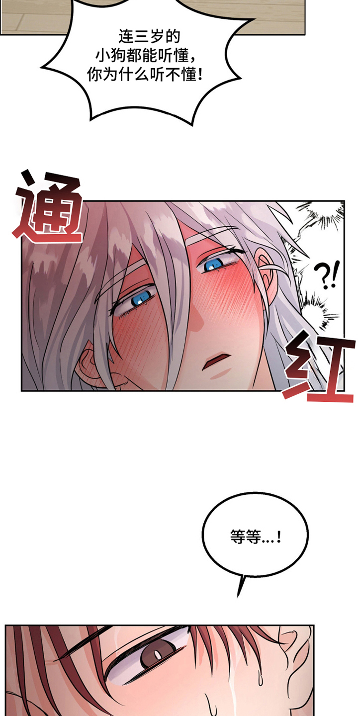 森林狼的控球后卫是谁漫画,第11话1图