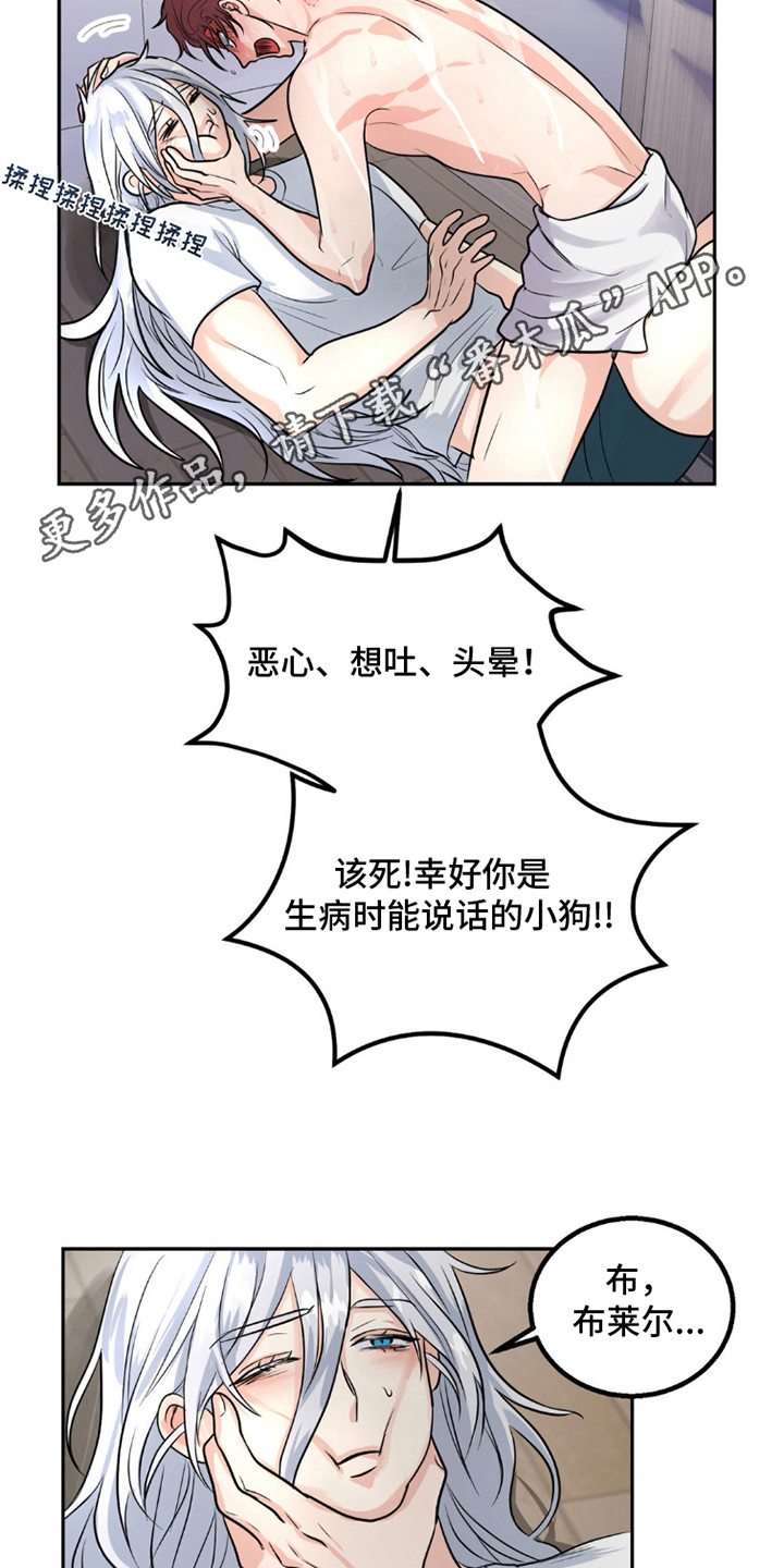 森林狼的选秀眼光漫画,第11话2图