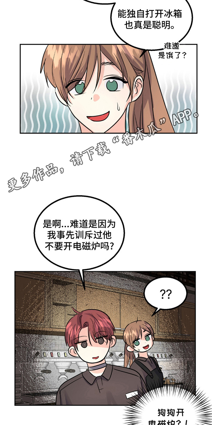 森林狼的诅咒漫画在线观看免费漫画,第9话2图