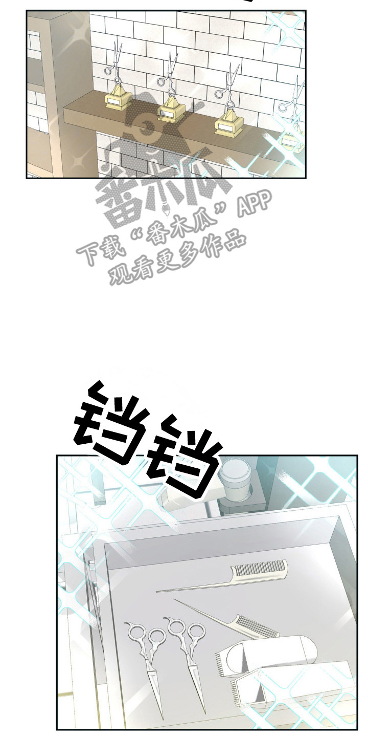 森林狼的英文名漫画,第15话2图