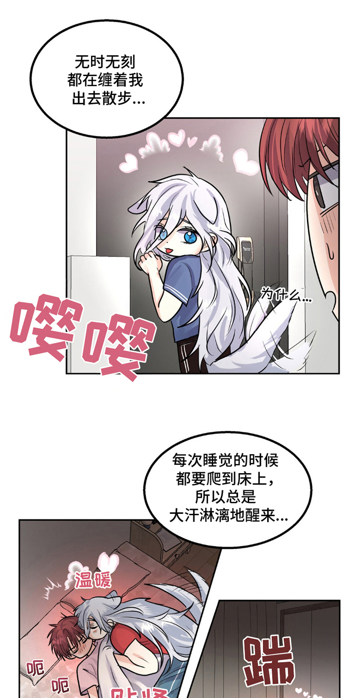 森林狼的诅咒漫画,第9话1图