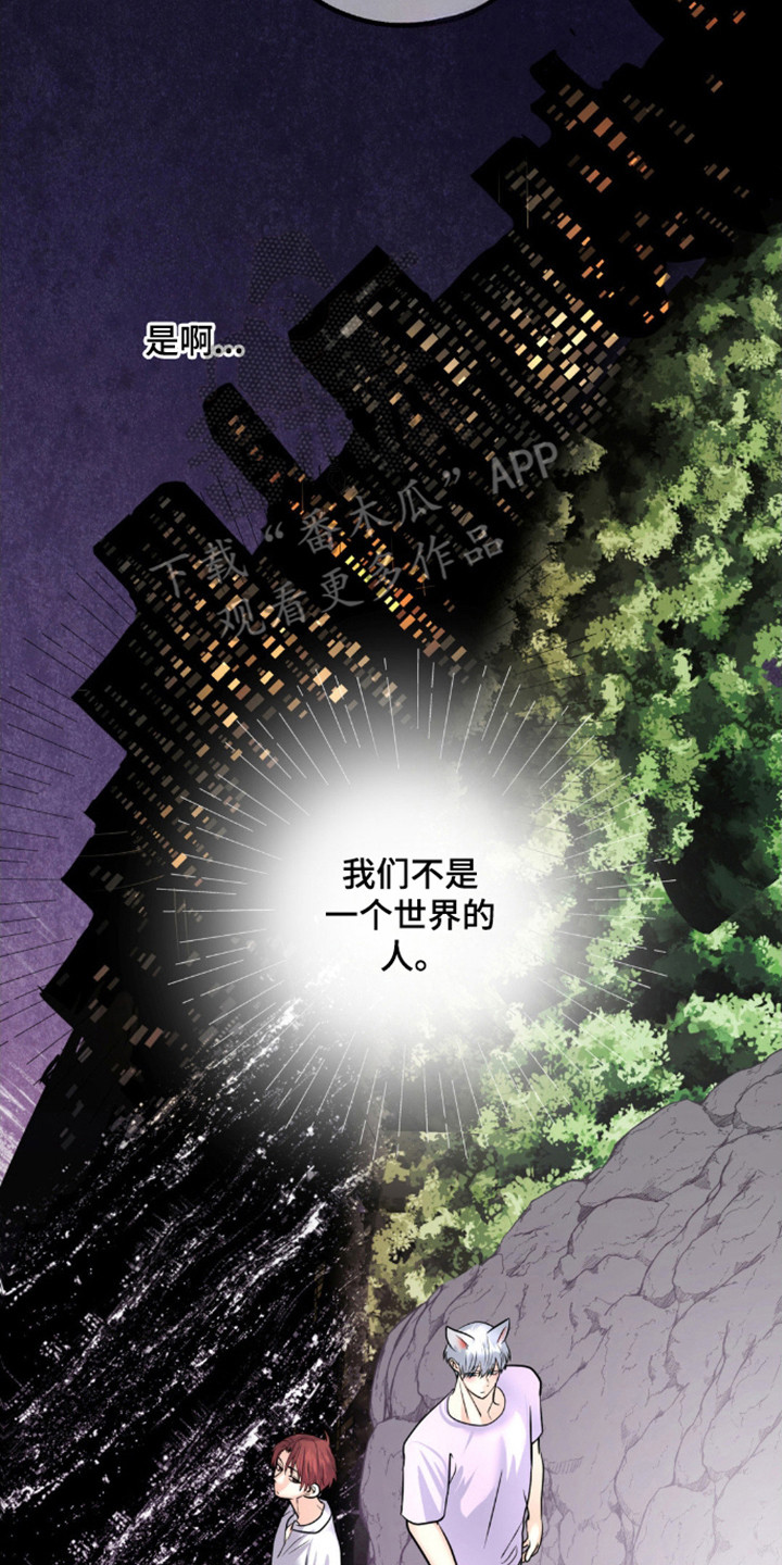 森林狼的控球后卫是谁漫画,第21话2图