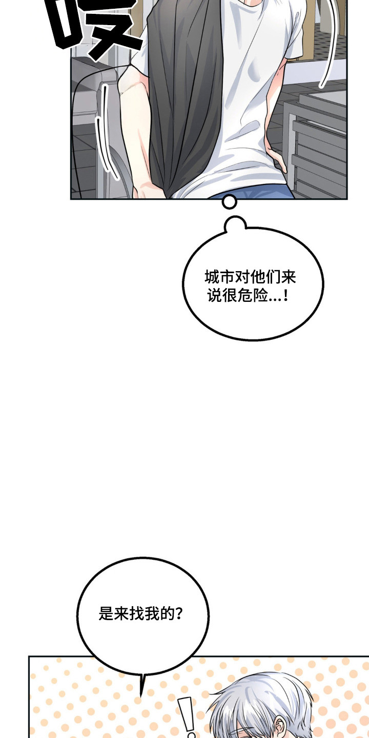 森林狼的诅咒漫画免费阅读漫画,第16话1图