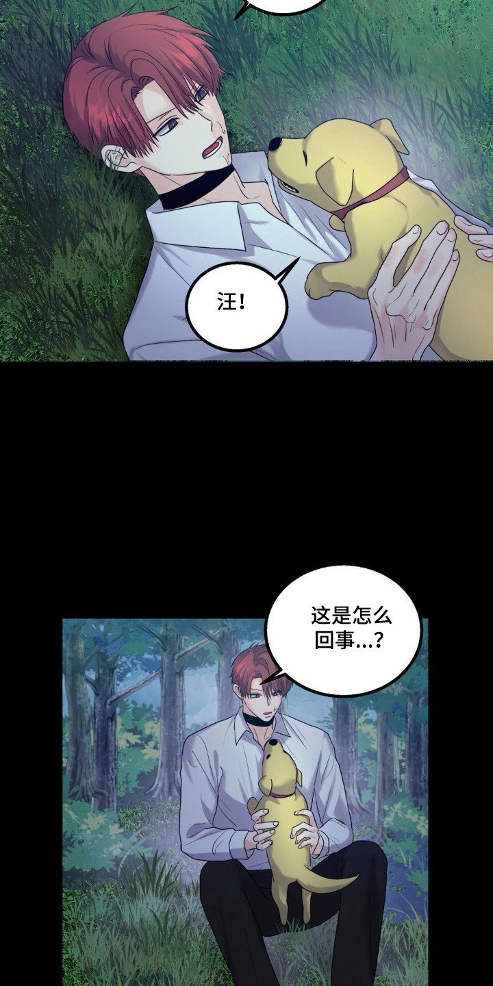 森林狼的控球后卫是谁漫画,第24话1图