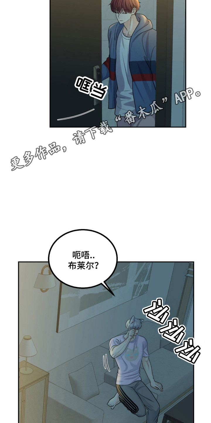 森林狼的场地在哪个城市漫画,第19话2图