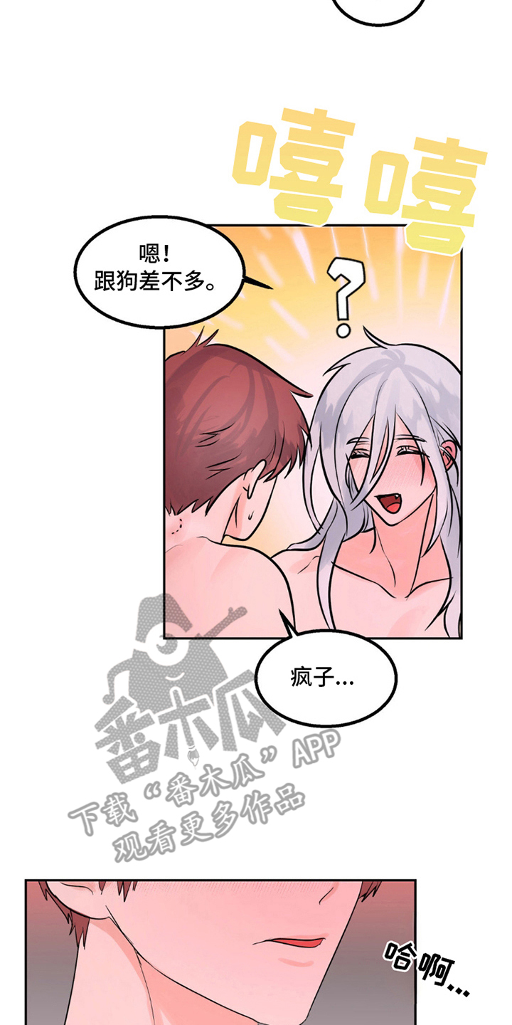 森林狼的老大是谁漫画,第5话2图