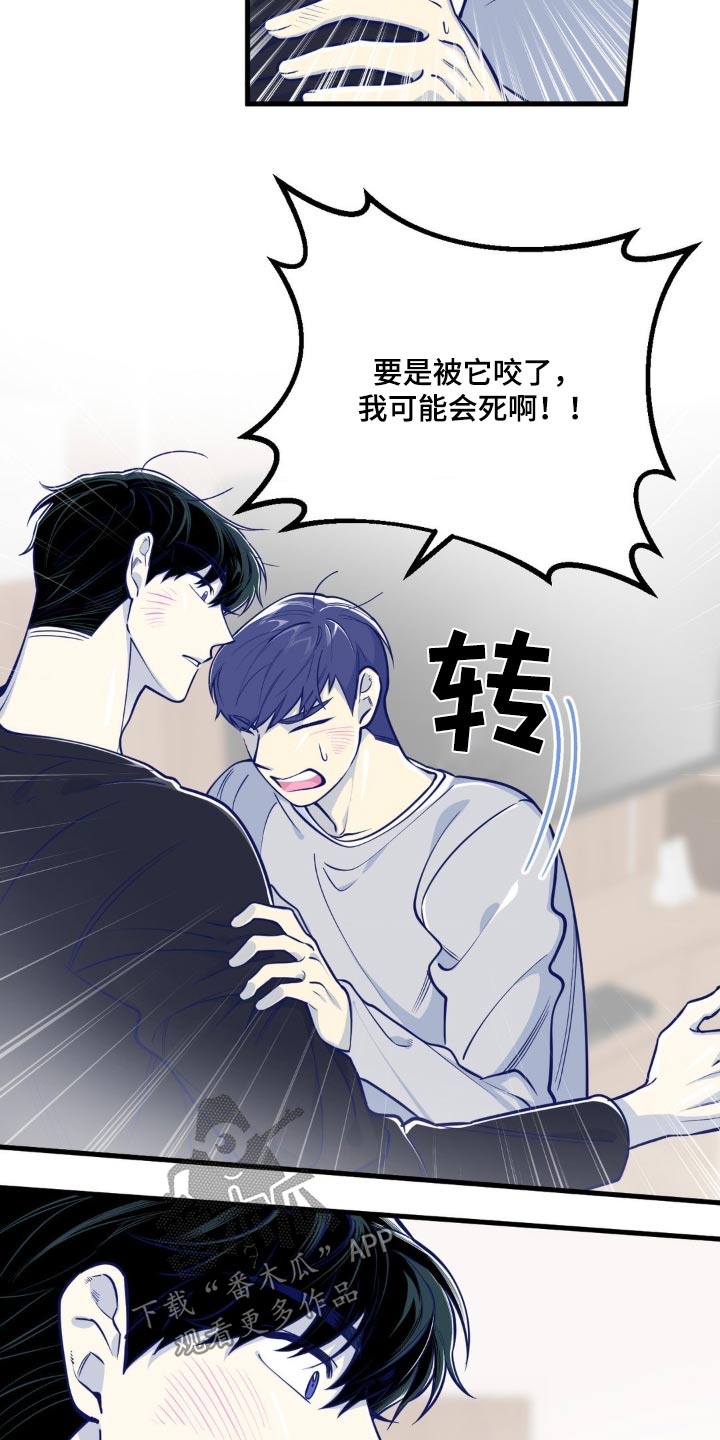 白痴偶像漫画,第28话2图