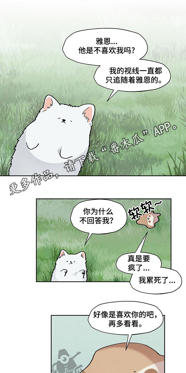 野兽派是什么品牌漫画,第40话1图