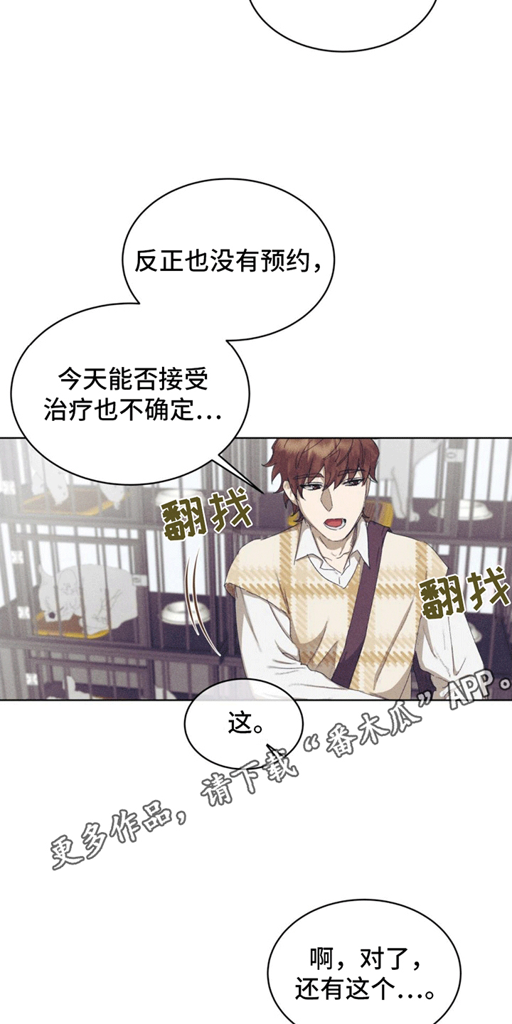 掩埋路边死去的小动物有忌讳吗漫画,第13话2图