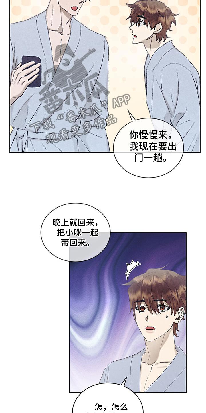 掩埋的真相在哪能看漫画,第52话1图