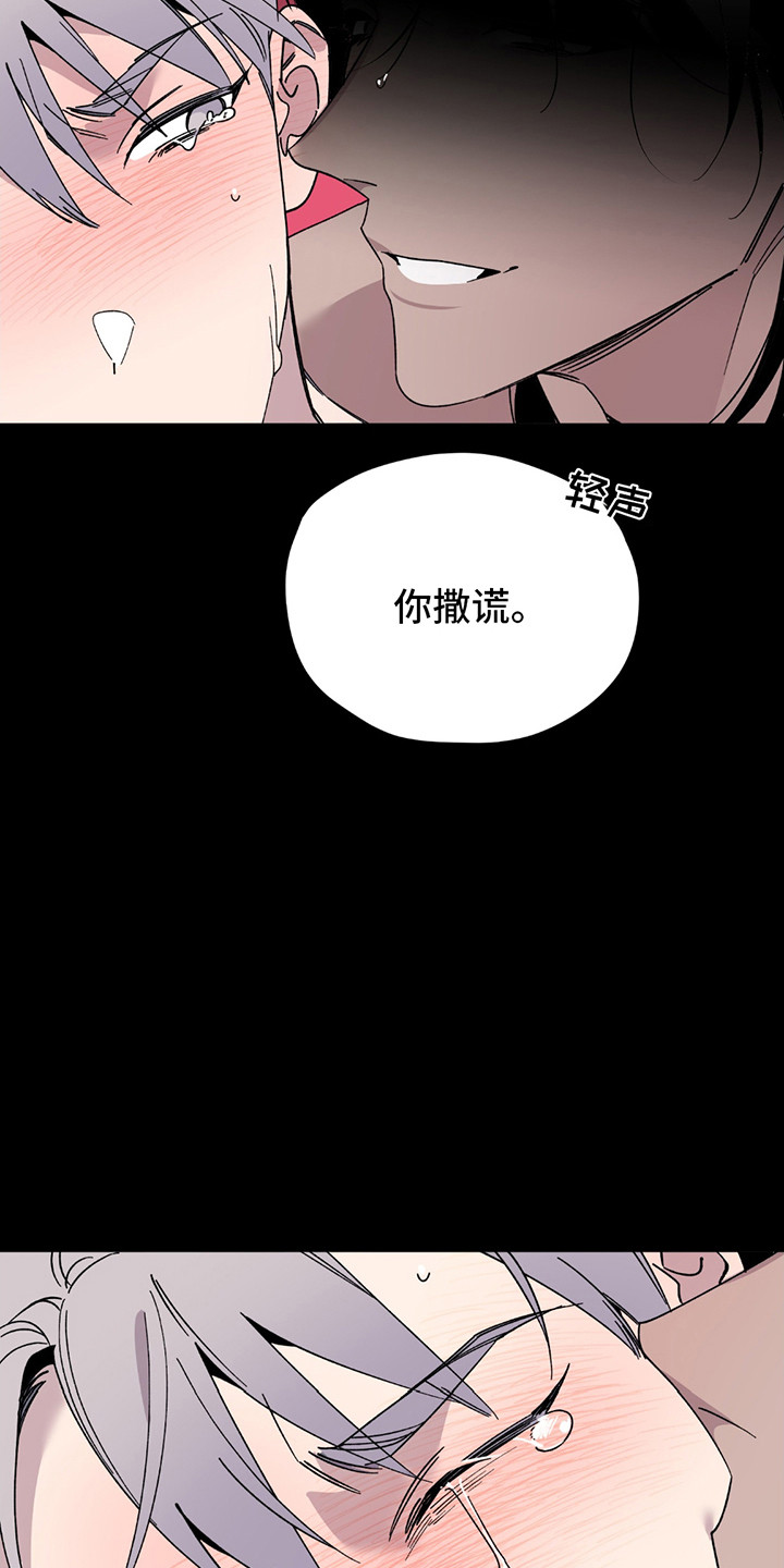 小卡最新官方消息漫画,第1话1图