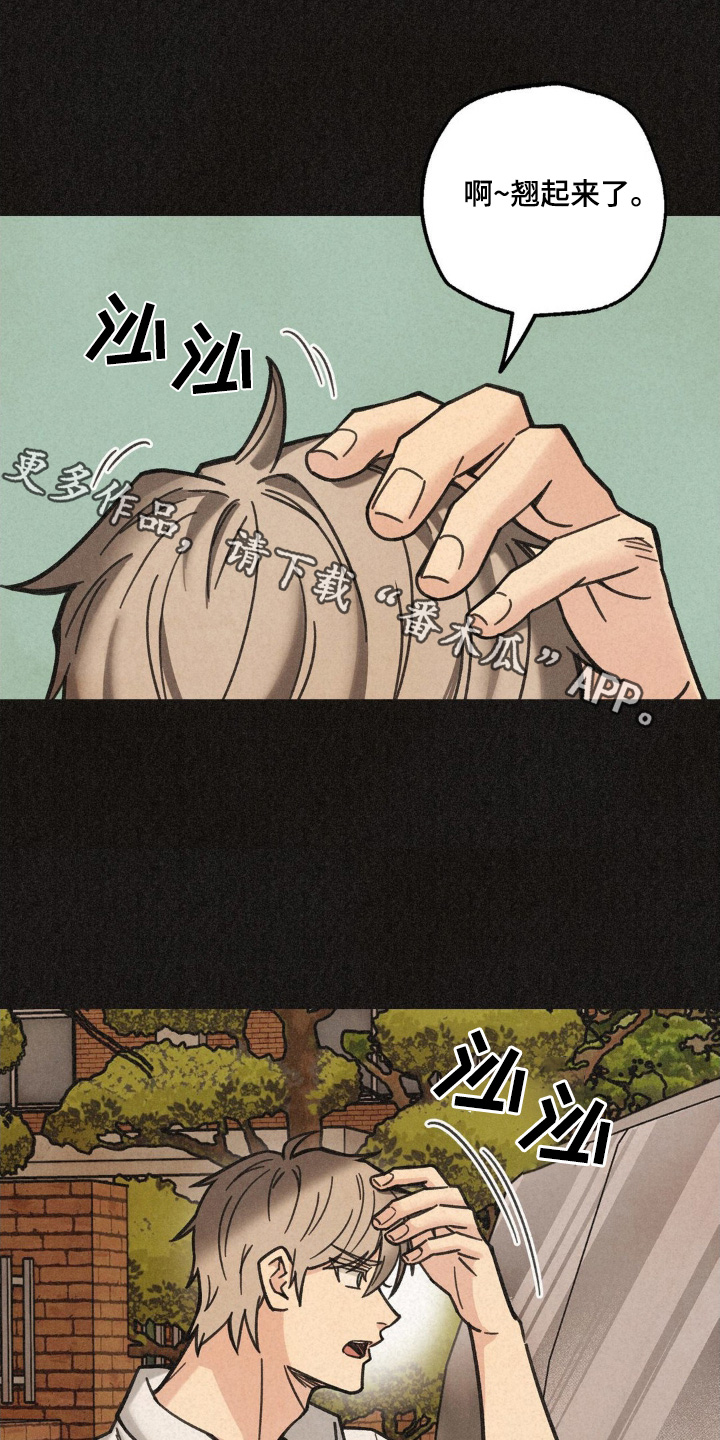 绝密追缉漫画,第44话1图