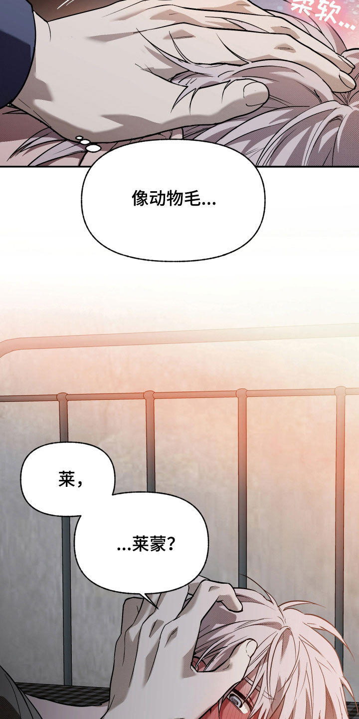 我的小笨熊漫画,第31话1图