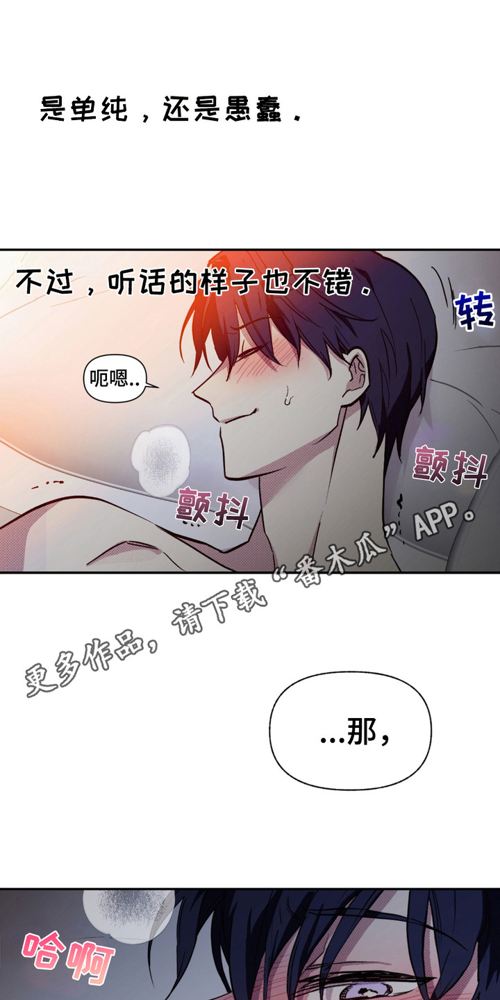 我的小笨熊漫画,第11话1图