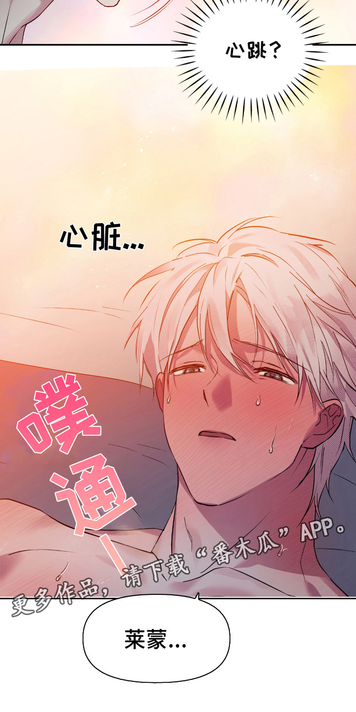 我的小笨熊漫画,第10话1图
