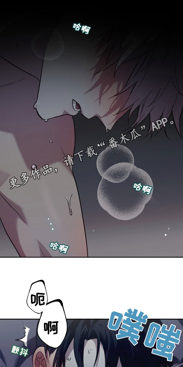 我的小笨熊漫画,第18话1图