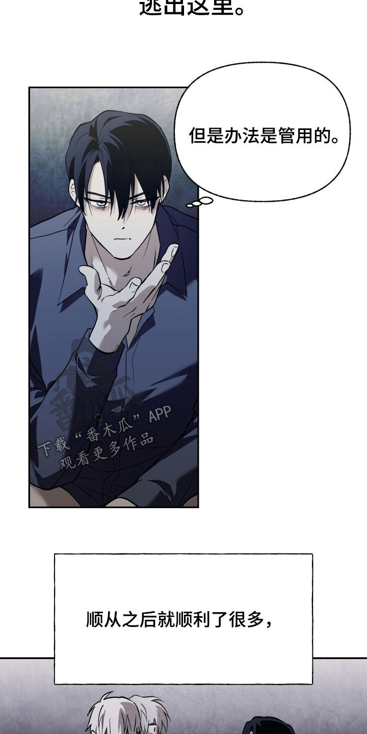 我的小笨熊漫画,第31话1图