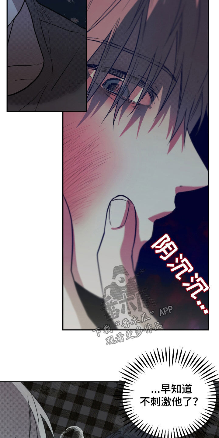 我的小笨熊漫画,第17话1图