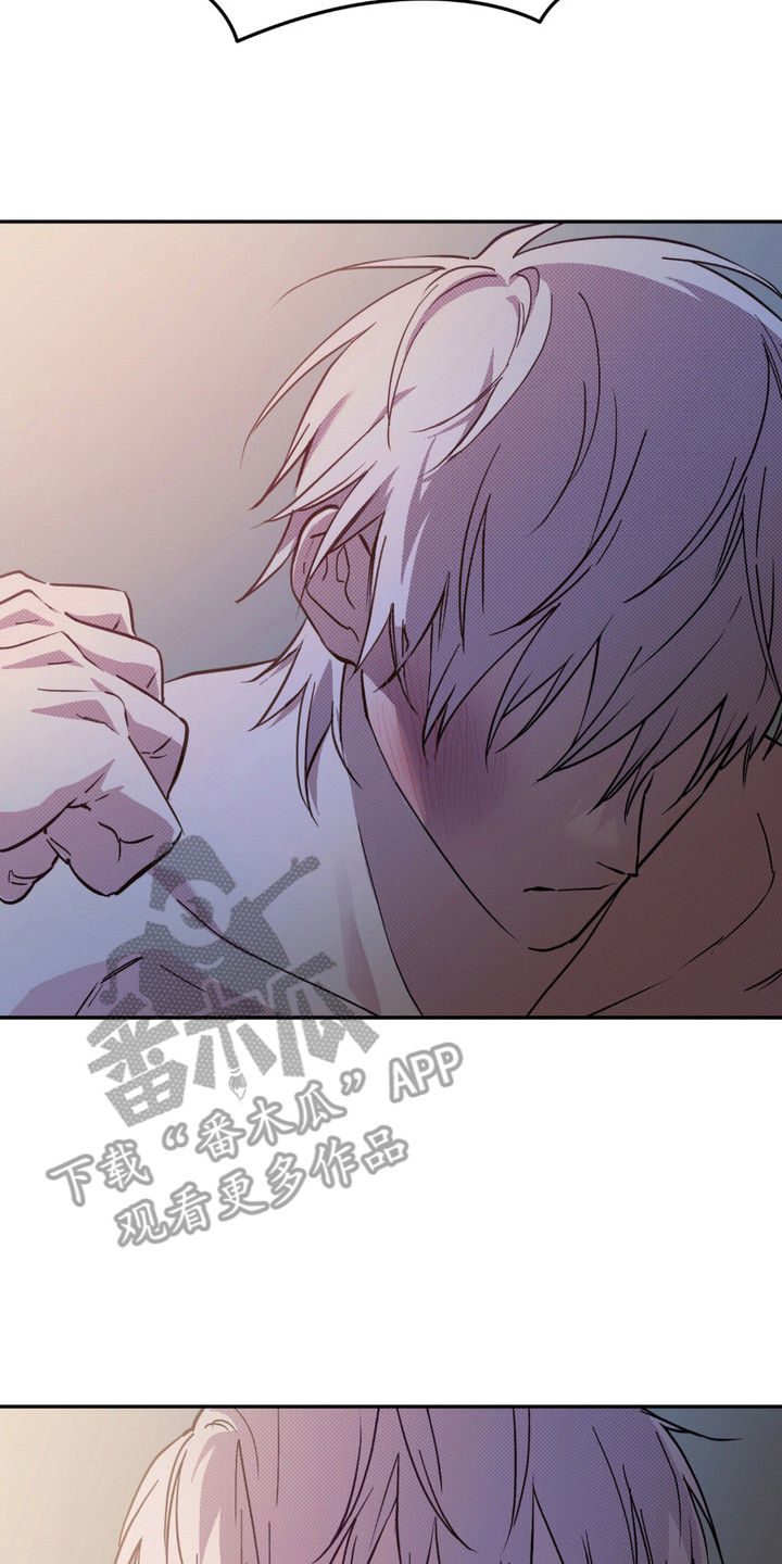 我的小笨熊漫画,第11话2图