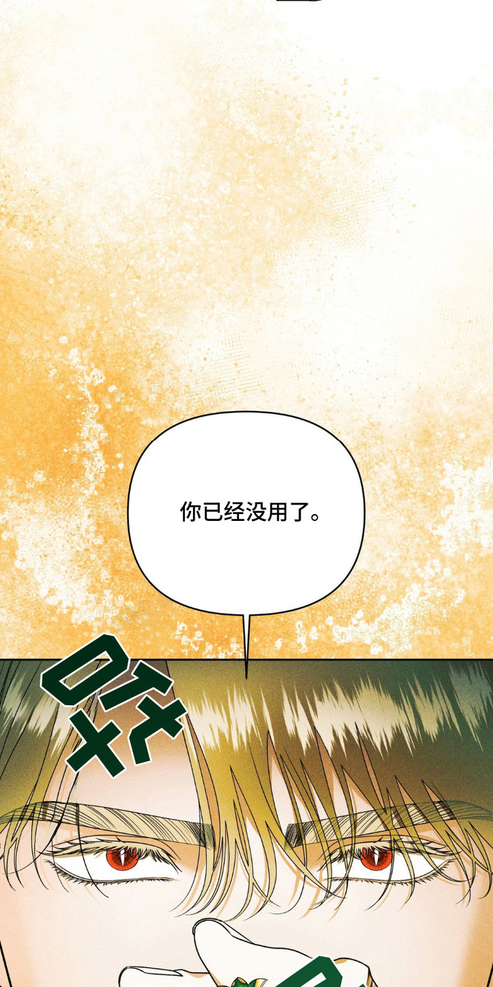 阿加托的试验品漫画,第12话1图