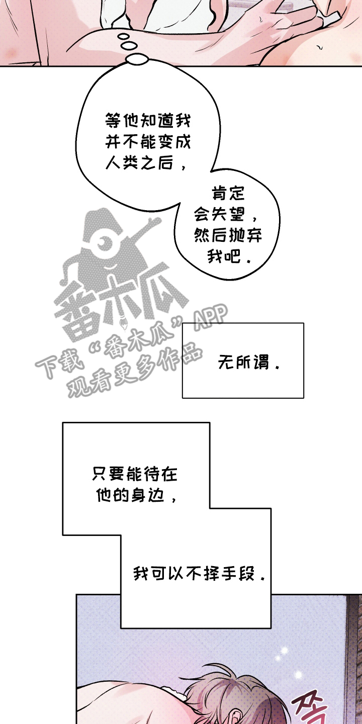 我是小玩具啊英文漫画,第16话2图