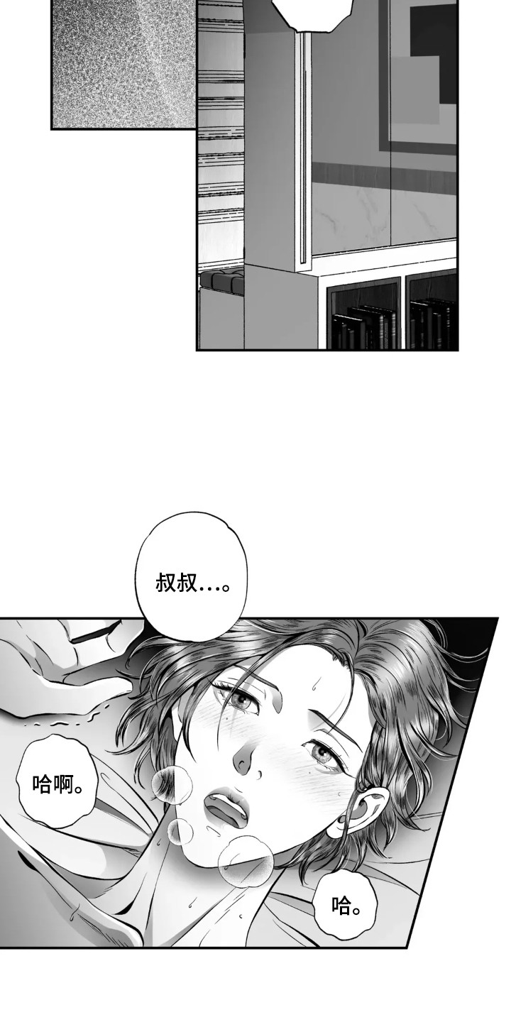 灵魂的出生前计划免费阅读漫画,第12话2图