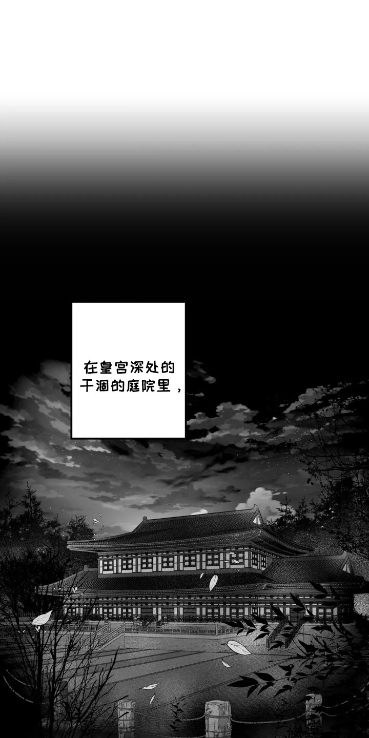 灵魂的归处小说免费阅读漫画,第1话1图