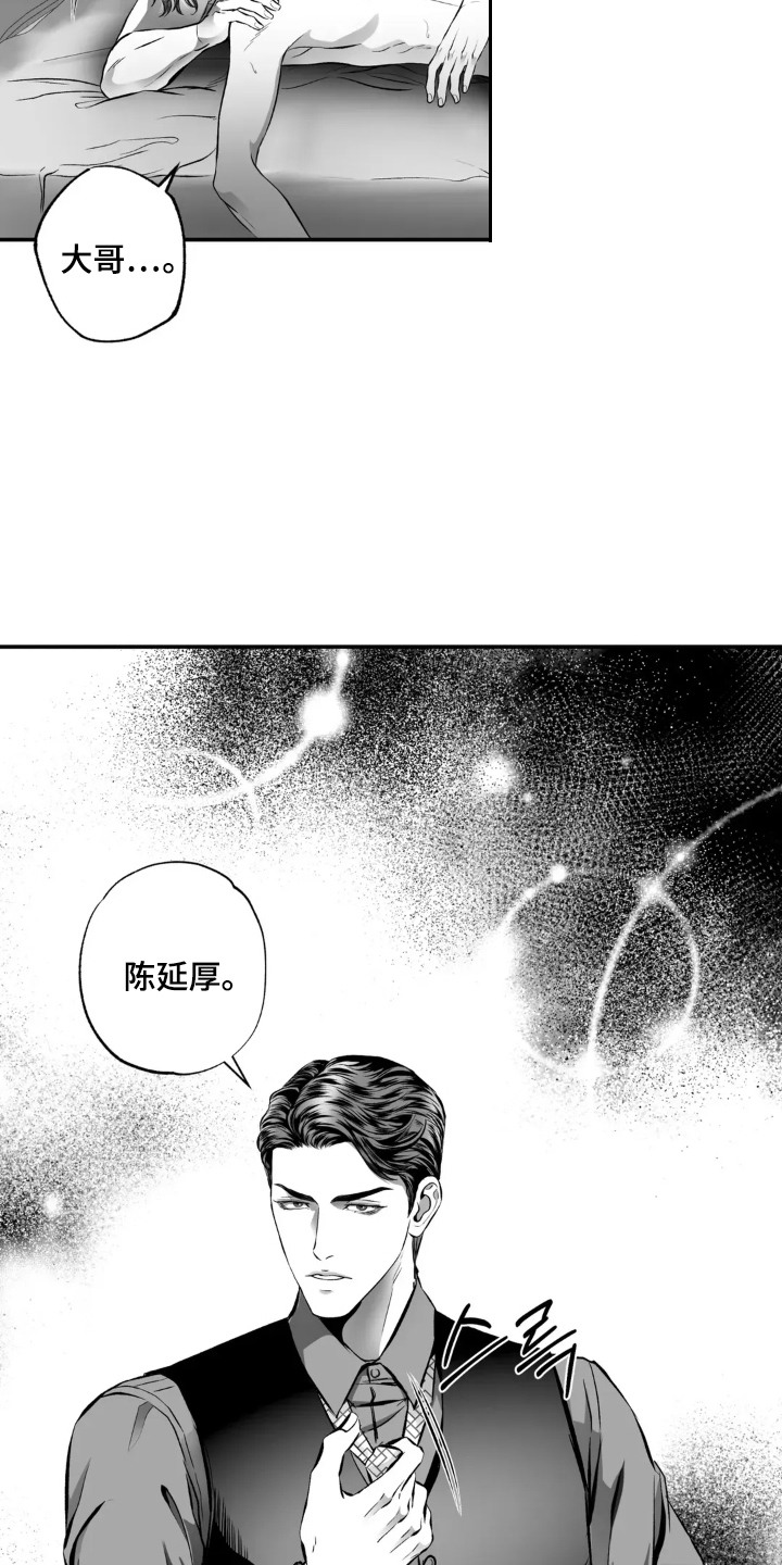 灵魂的出生前计划免费阅读漫画,第12话1图