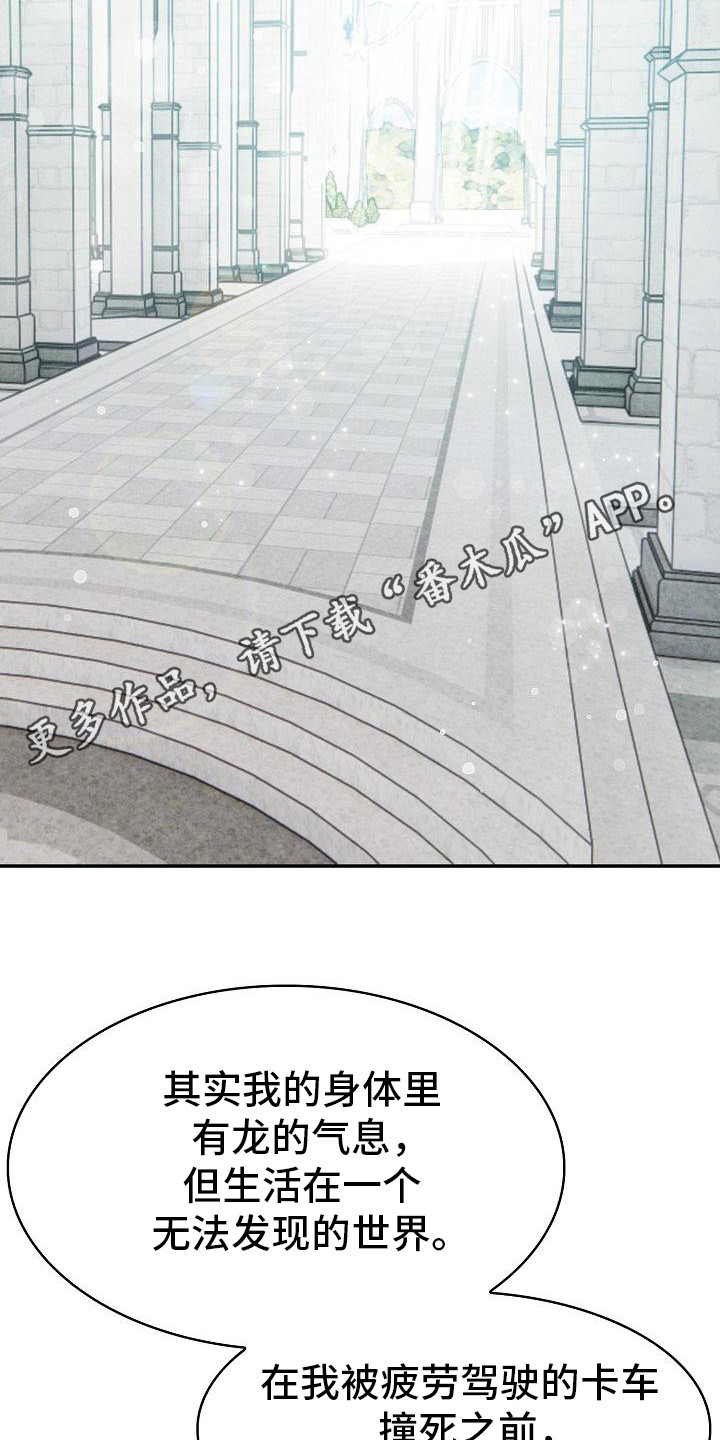 半龙骑士团长漫画,第2话1图