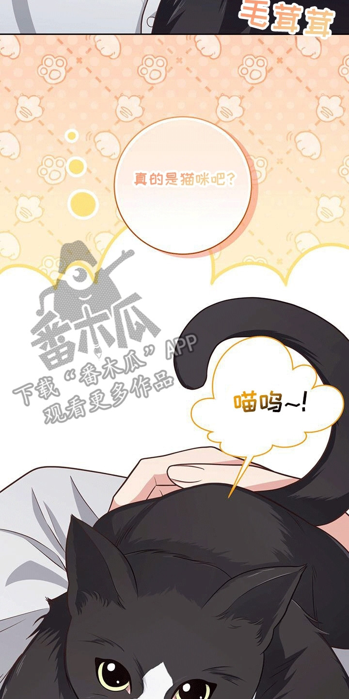 双重拥抱漫画完整版漫画,第24话2图