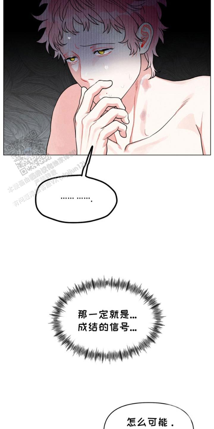 私人定制与私人订制的区别漫画,第4话1图