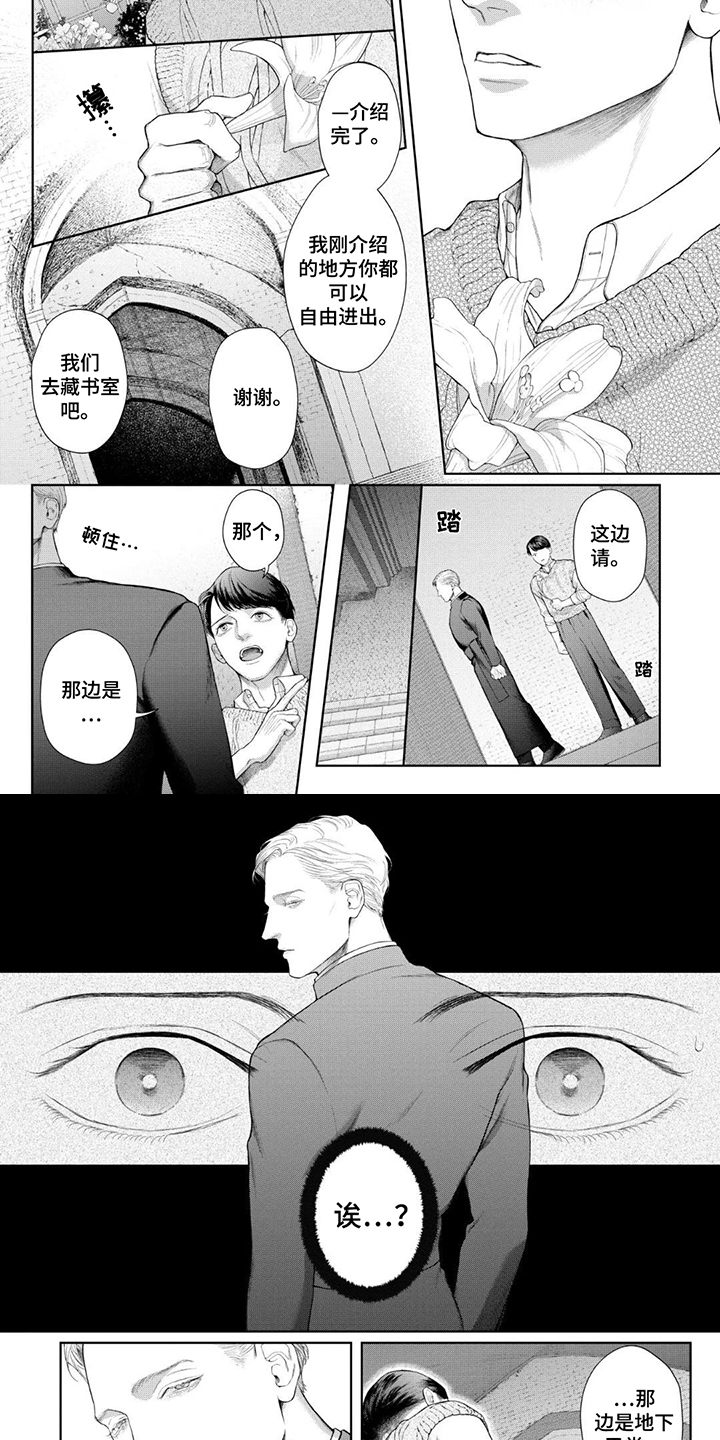 洛克兰拉杆箱长度漫画,第5话2图