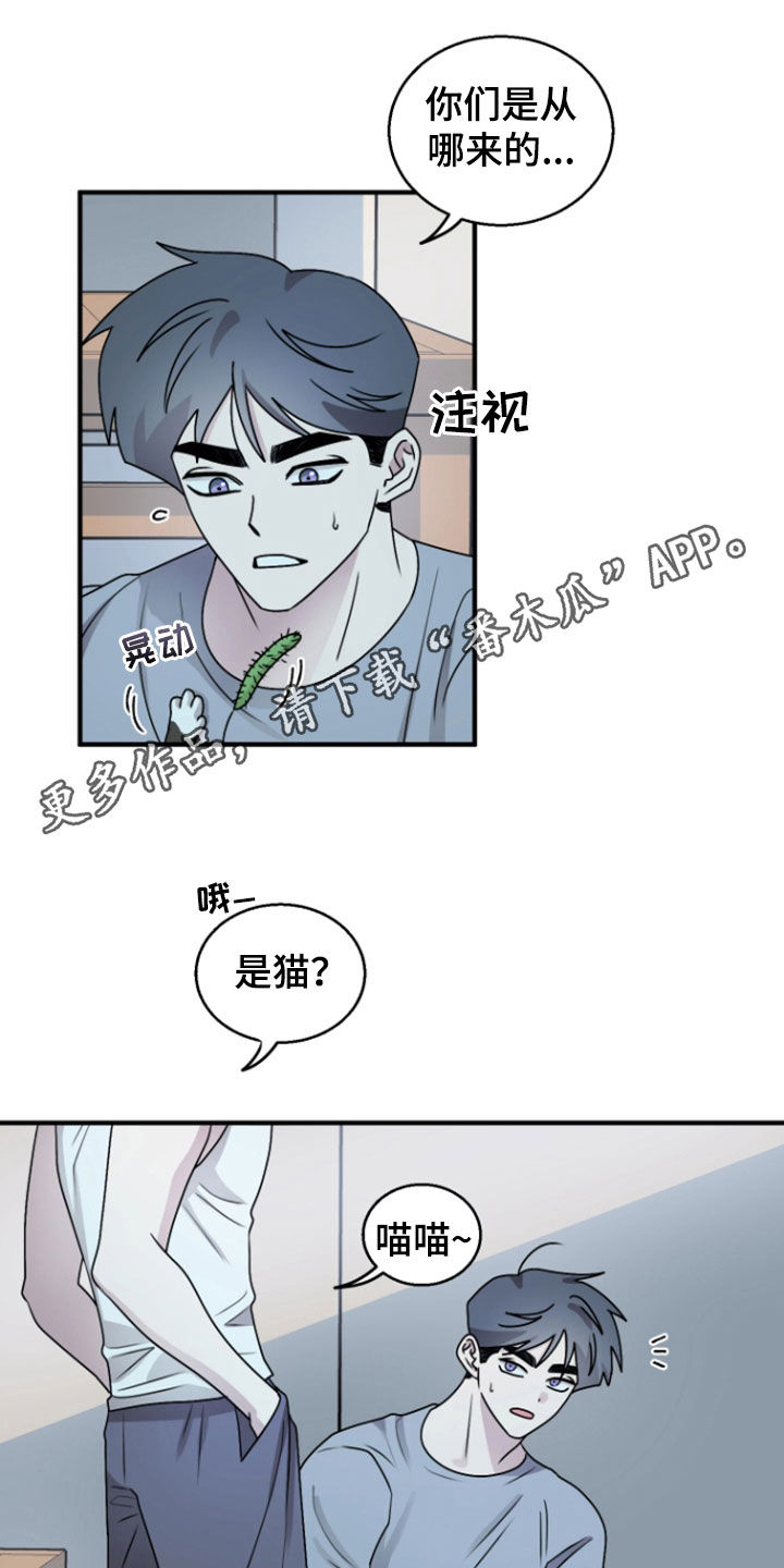 同类相恋漫画,第38话1图