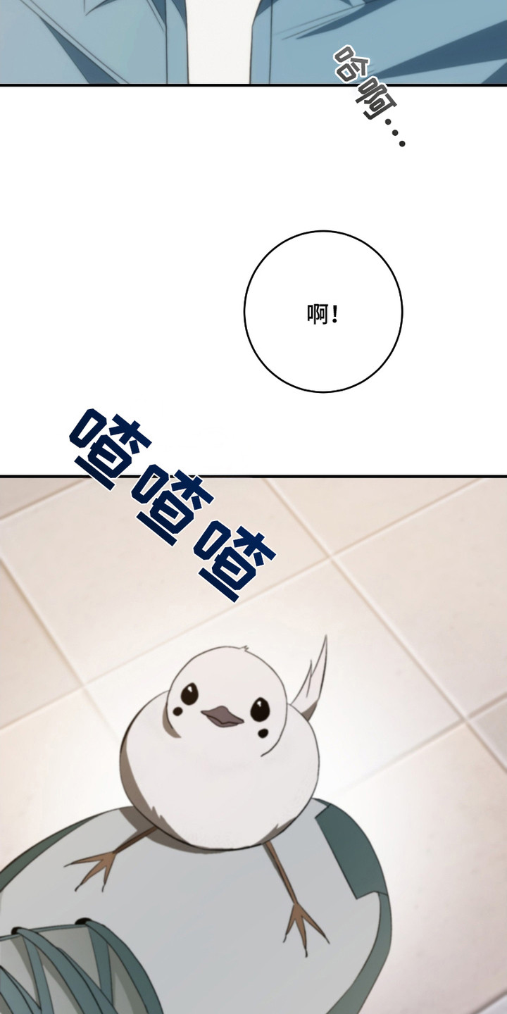 错爱之缘漫画,第12话1图