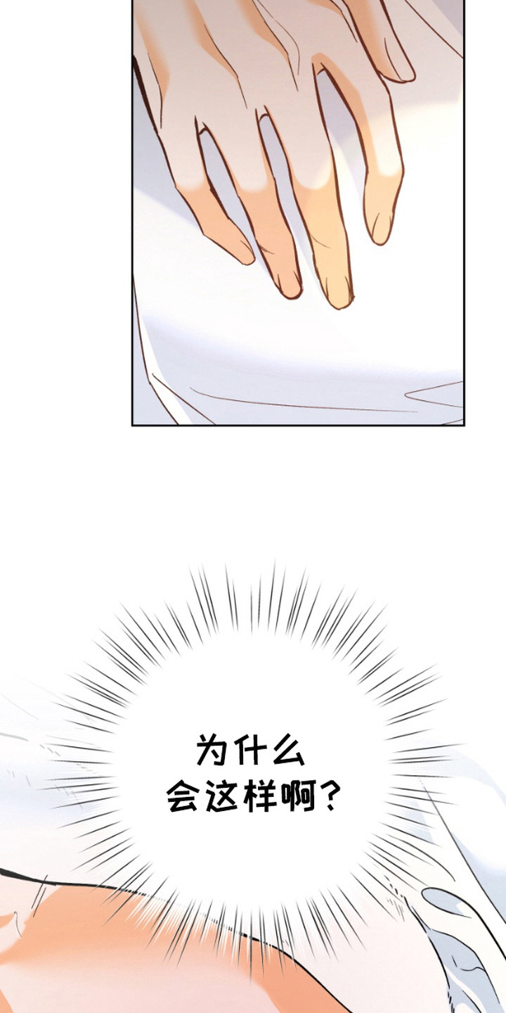 职业开发人员漫画,第4话2图