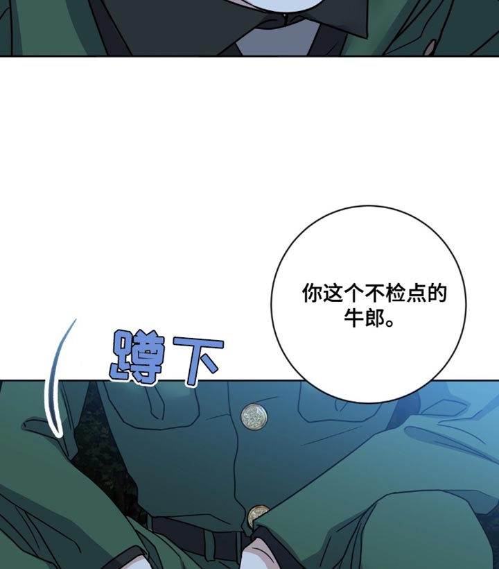 士官的军衔等级及标志漫画,第26话2图